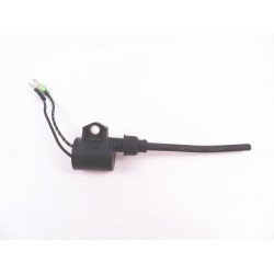 Bobine Yamaha 40-50CV 2T