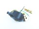 Bobine d'allumage Johnson Evinrude 0584477 2-40CV