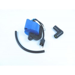 Bobine d'allumage Johnson Evinrude 0502881 18-25CV 1973-1976