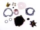 Kit pompe à eau Johnson Evinrude 0391631 20-30CV 1995-2001