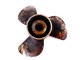 Hélice Inox Yamaha 13X17 15 cannelures 60-130CV 2T et 4T