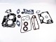 Pochette de joints moteur Johnson Evinrude 5041395 10CV