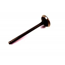 Soupape d'échappement Johnson Evinrude 5033898 90-140CV