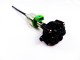 Kit pompe à huile Johnson Evinrude 5007915 60-90CV